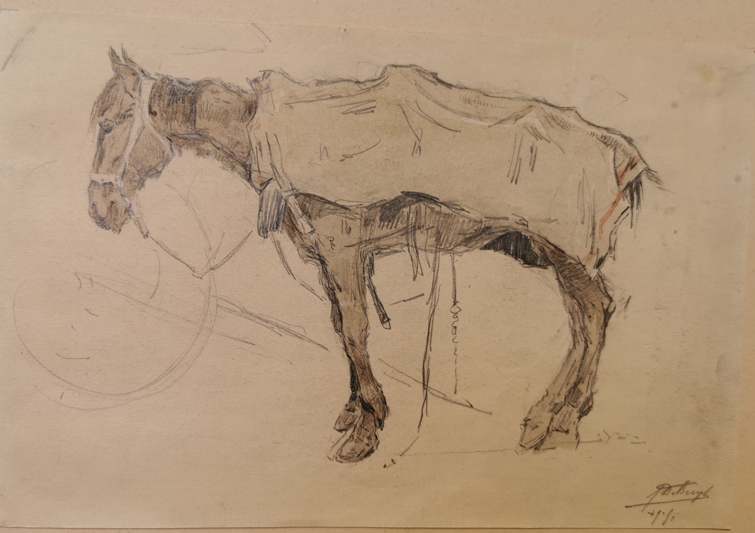 T.M.345 CHEVAL
Horta 2026
