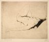 debruycker153.jpg
