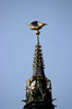 draak1680_RT8 kopie.jpg