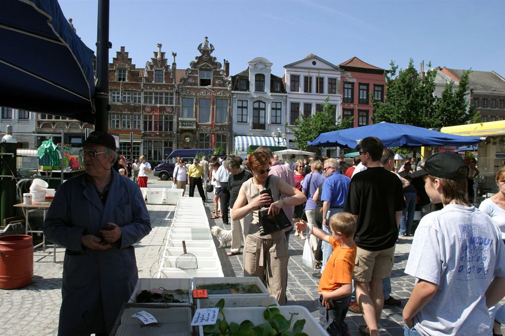 113 DE VRIJDAGMARKT

