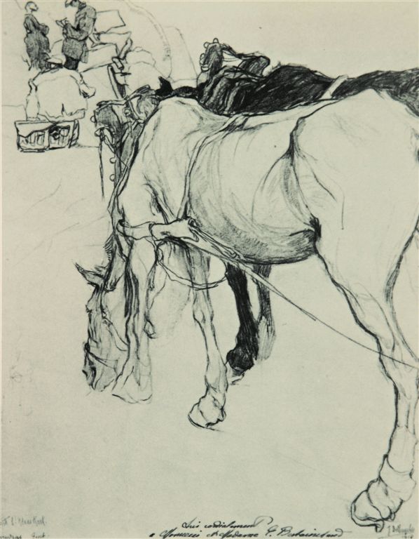 A0241 PAARDEN
