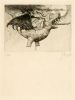 debruycker1458.jpg